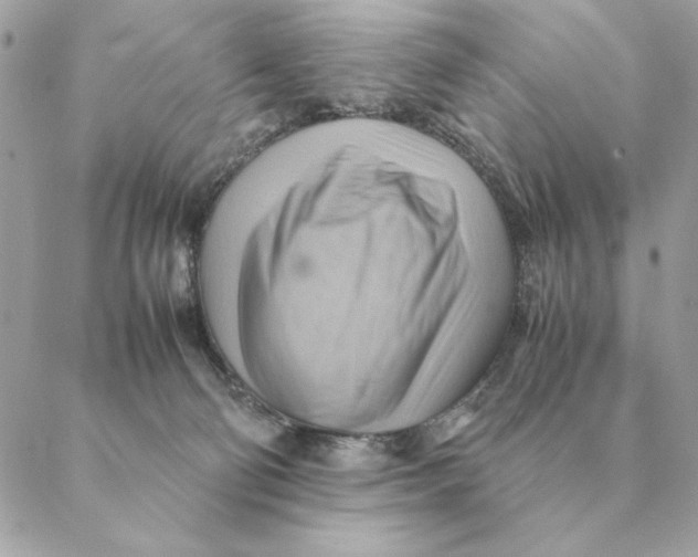 X0000088600130200706151811