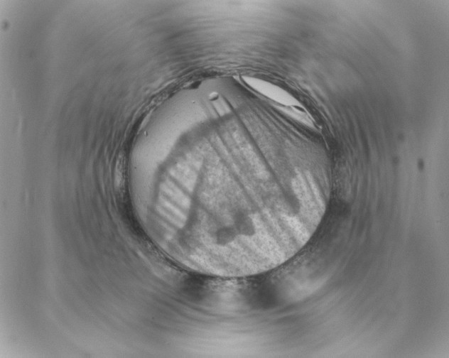 X0000088600131200706151811