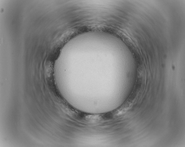 X0000088600133200706151811