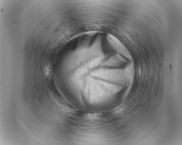 X0000088600134200706151811