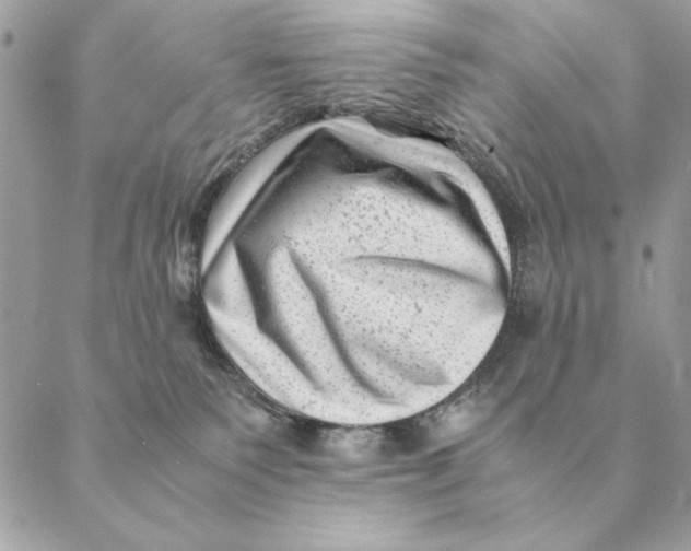 X0000088600135200706151811