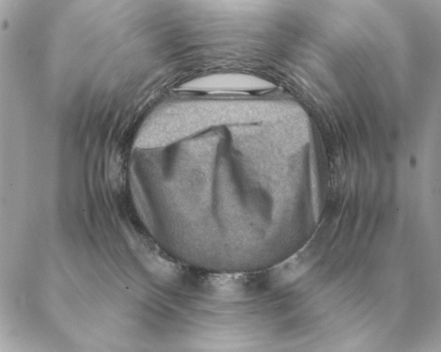 X0000088600136200706151811