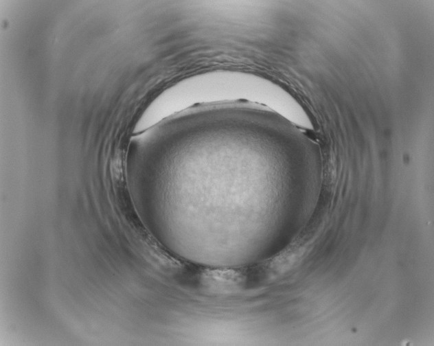 X0000088600137200706151811