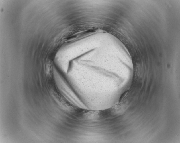 X0000088600138200706151811