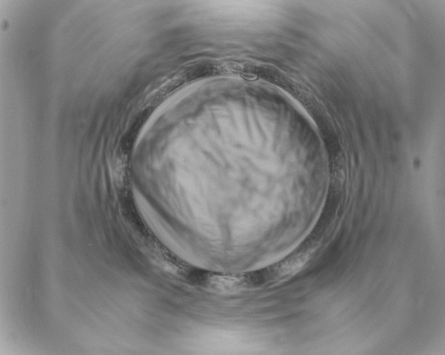 X0000088600139200706151811