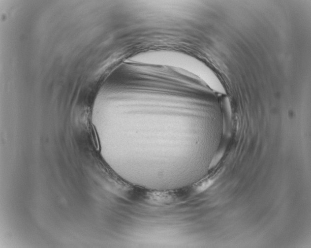 X0000088600141200706151811