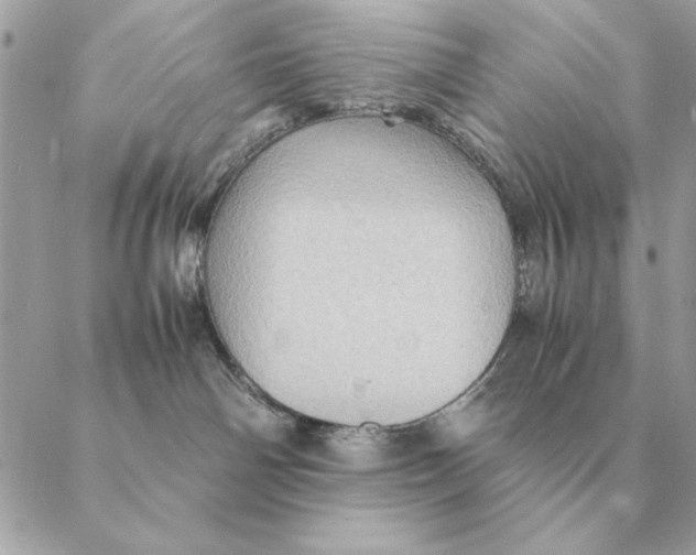 X0000088600142200706151811