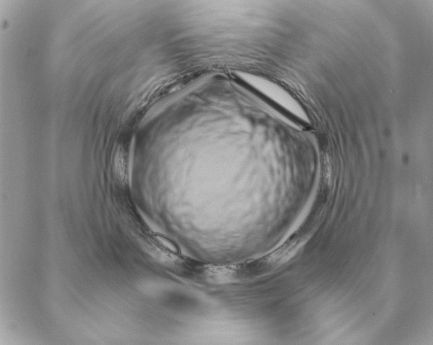 X0000088600143200706151810