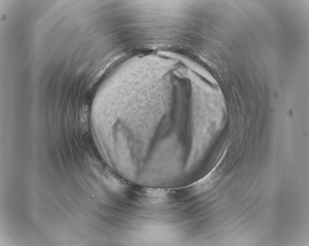 X0000088600144200706151810