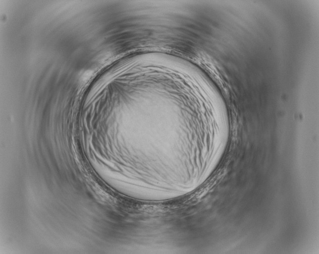 X0000088600145200706151810