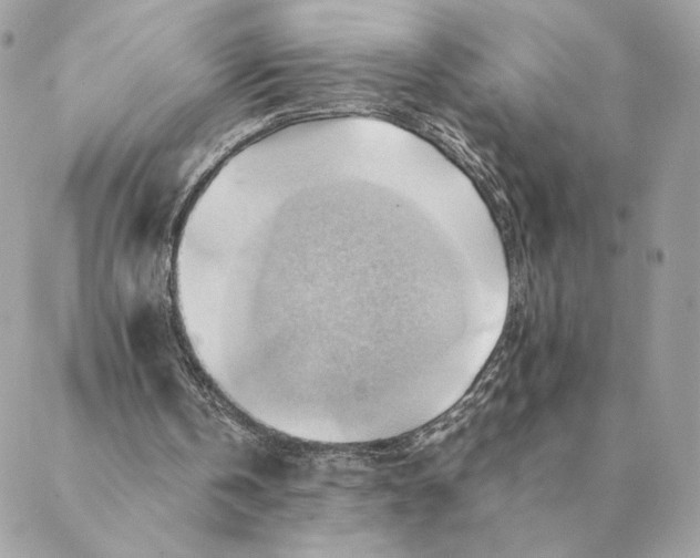 X0000088600146200706151810