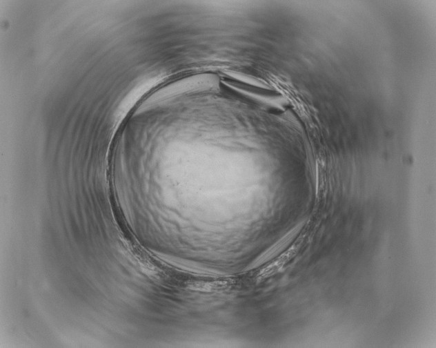 X0000088600147200706151810