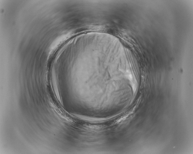 X0000088600149200706151810