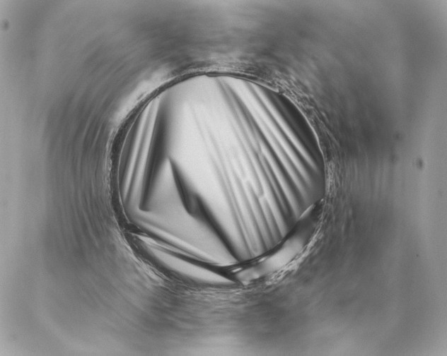 X0000088600150200706151810