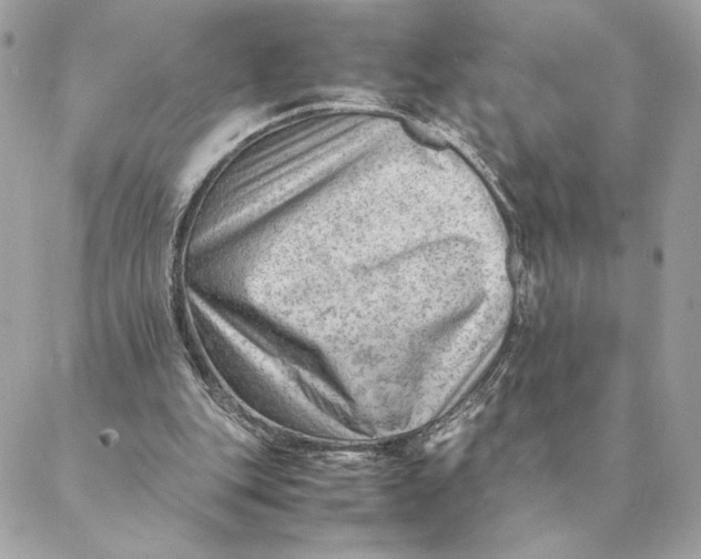 X0000088600151200706151810