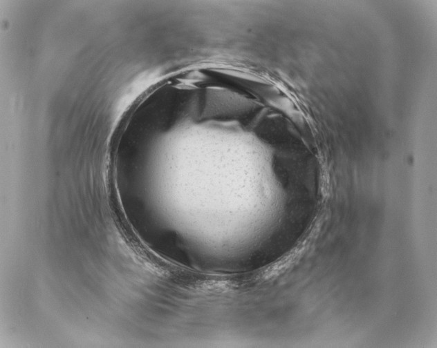 X0000088600152200706151810