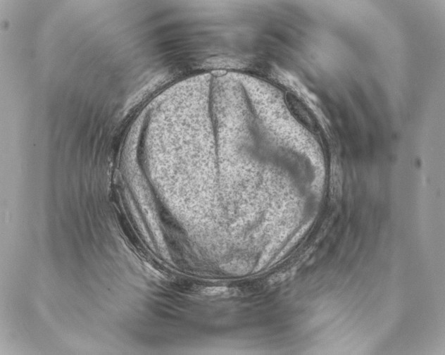 X0000088600153200706151810