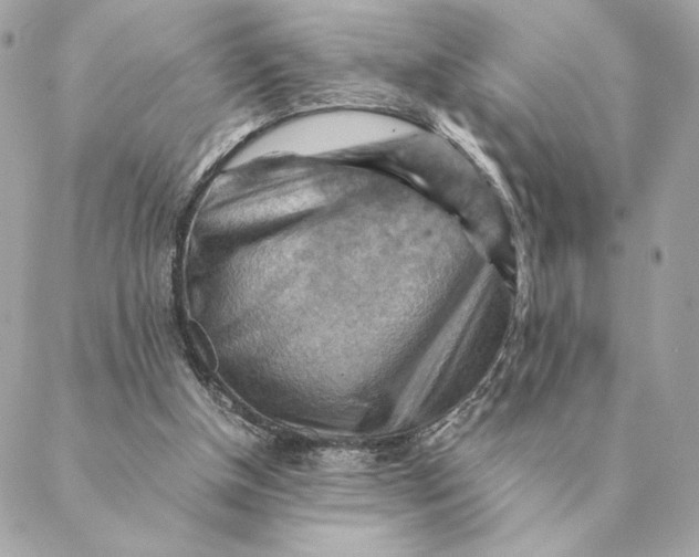 X0000088600154200706151810