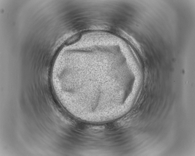 X0000088600155200706151810