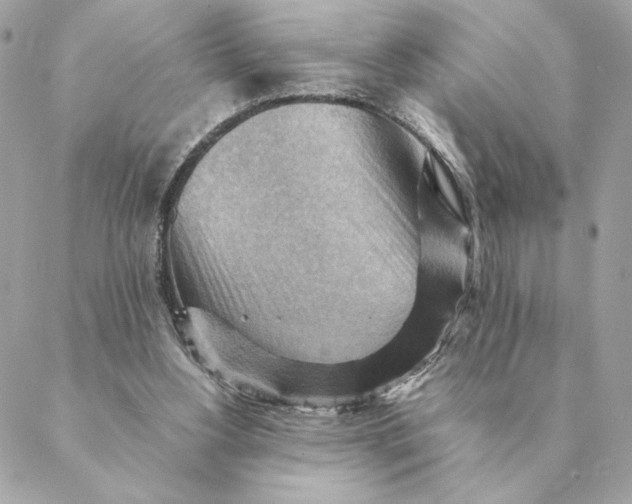 X0000088600156200706151810