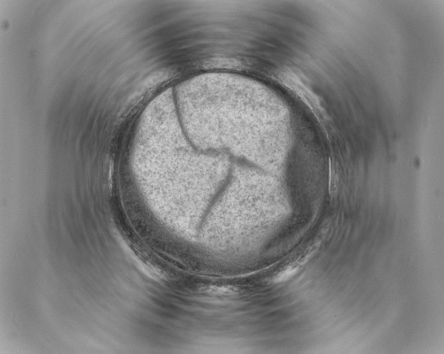 X0000088600157200706151810