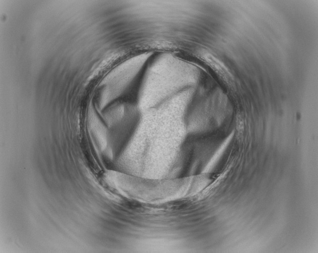 X0000088600158200706151810