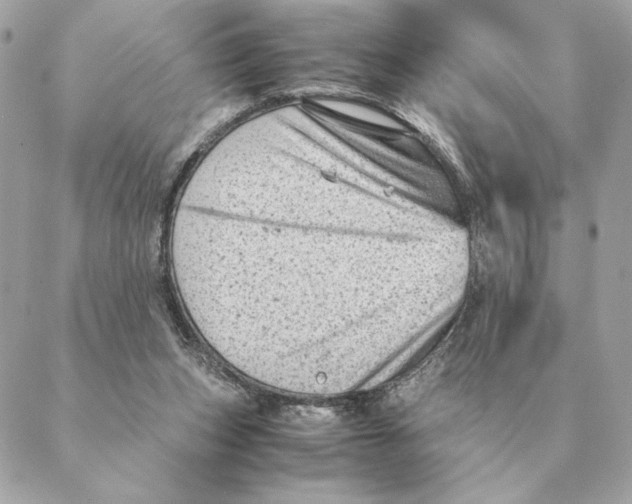 X0000088600159200706151810