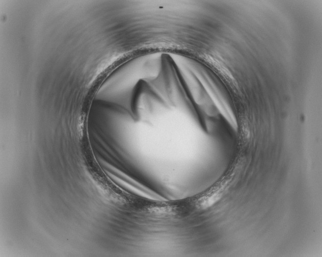 X0000088600160200706151810