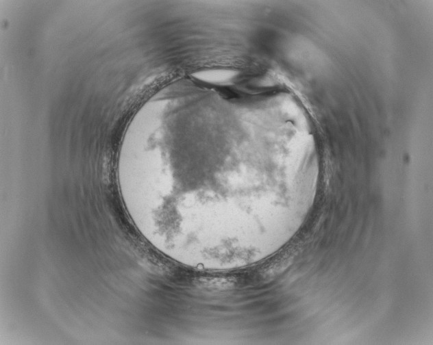 X0000088600161200706151810