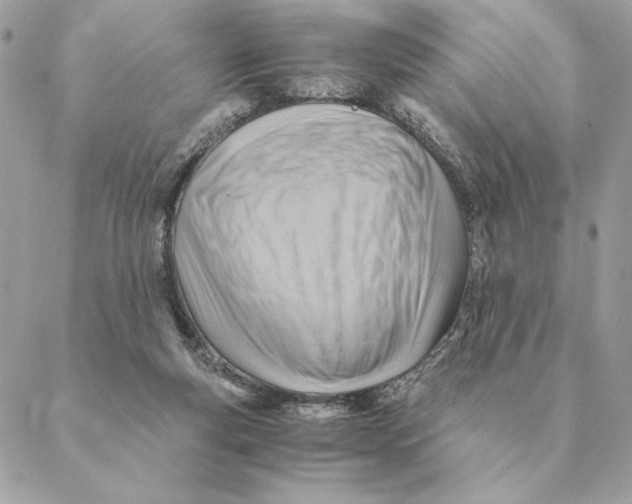 X0000088600163200706151810