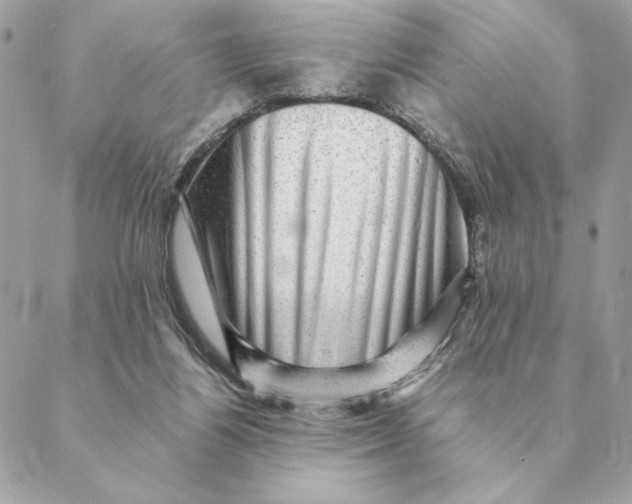 X0000088600164200706151810