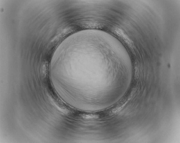 X0000088600165200706151810