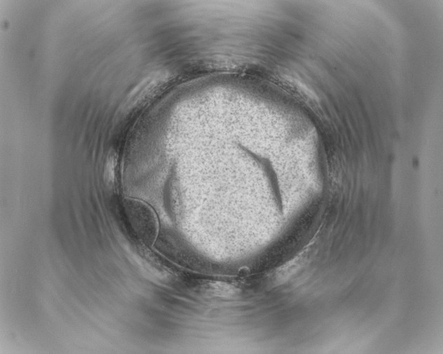 X0000088600166200706151810