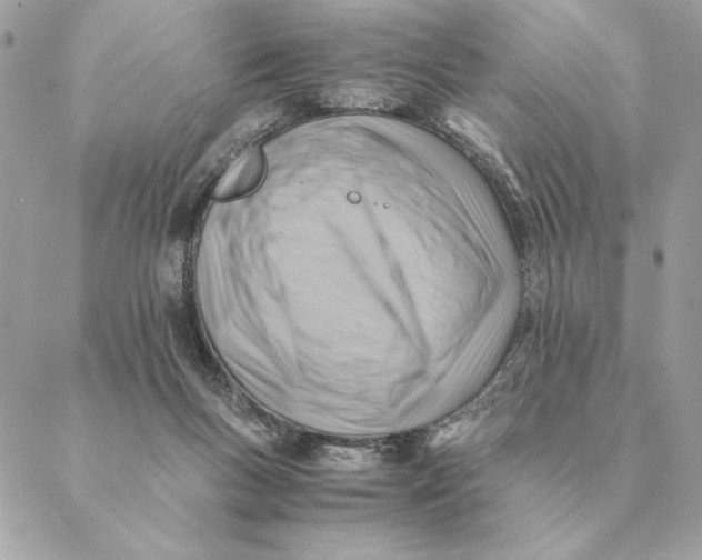 X0000088600167200706151810