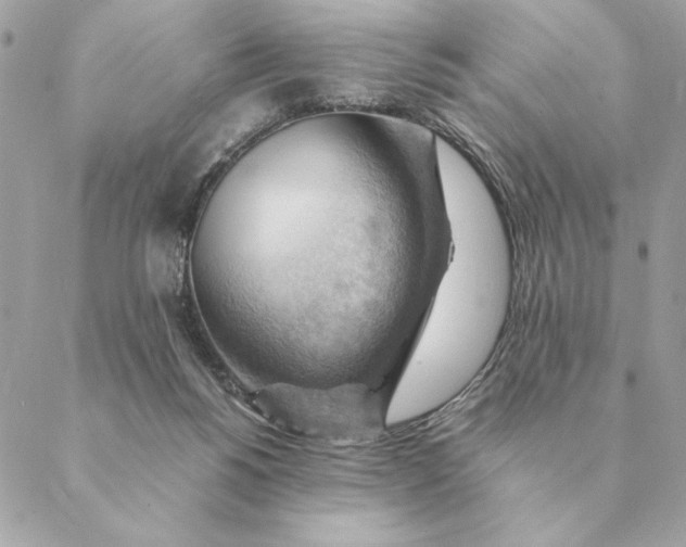 X0000088600168200706151810