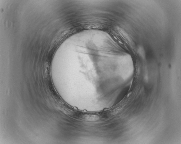 X0000088600169200706151810