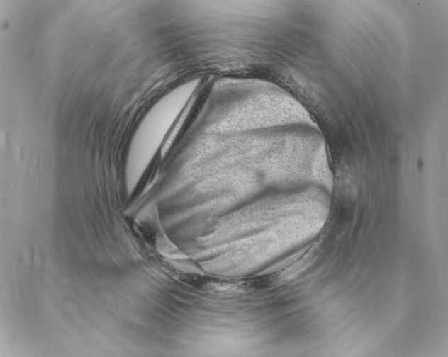 X0000088600170200706151810