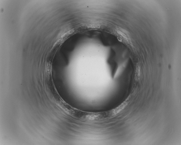 X0000088600172200706151810