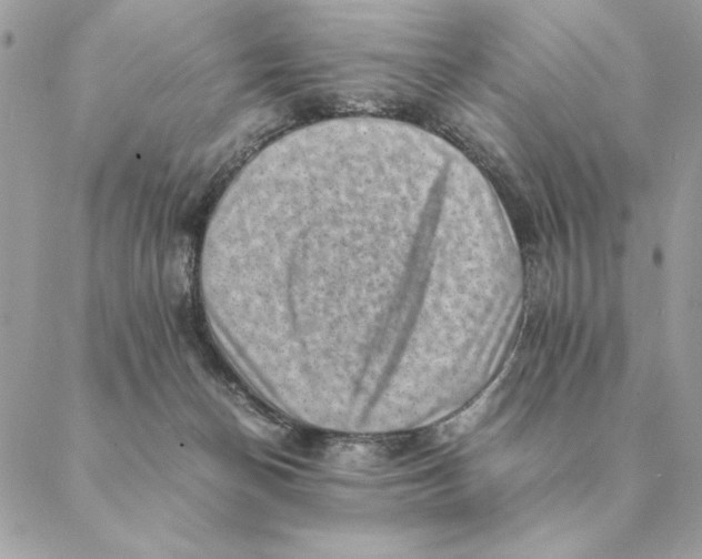 X0000088600174200706151810