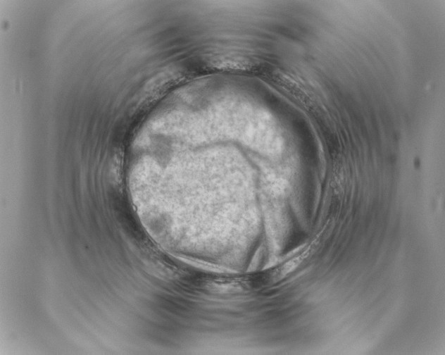 X0000088600175200706151810