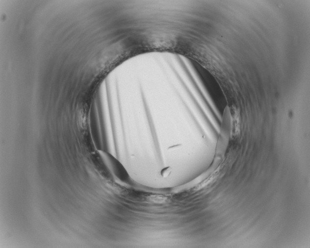 X0000088600176200706151810