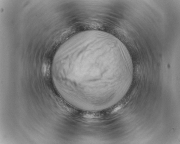 X0000088600177200706151810