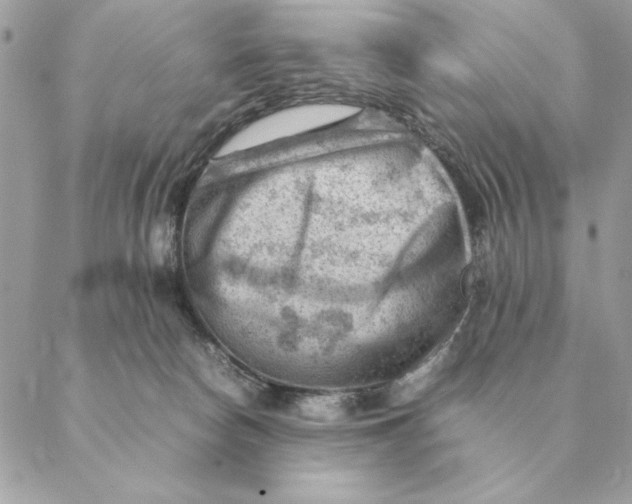 X0000088600178200706151810