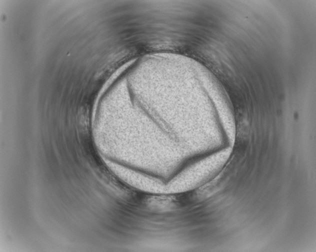 X0000088600179200706151810