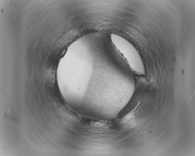 X0000088600180200706151810