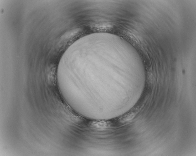 X0000088600181200706151810