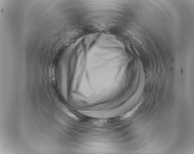 X0000088600182200706151810