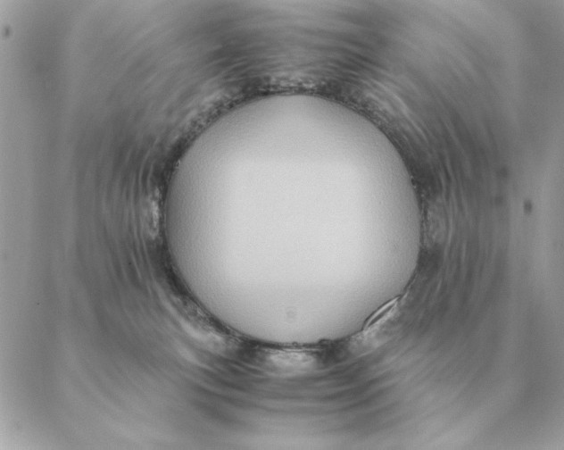 X0000088600183200706151810