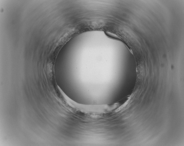 X0000088600184200706151810