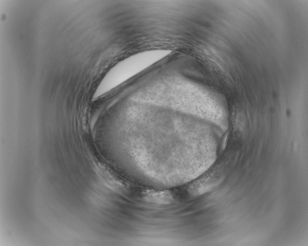 X0000088600185200706151810